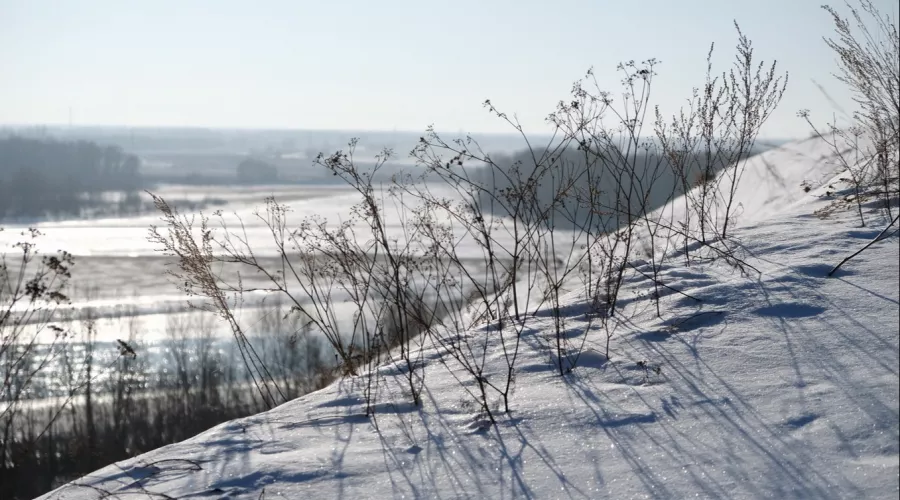 Глобальное потепление: в Алтайском крае будет до +4 градусов