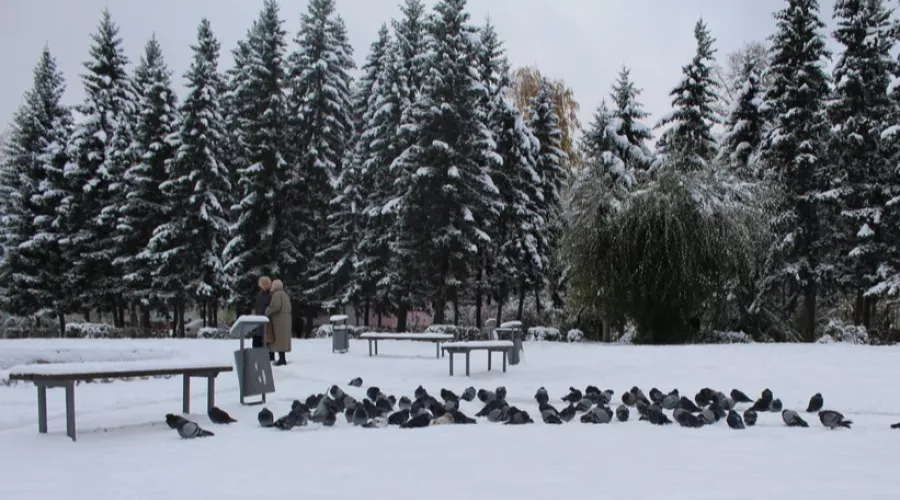 Сегодня, 18 февраля, в Алтайском крае ожидается потепление до +3 градусов