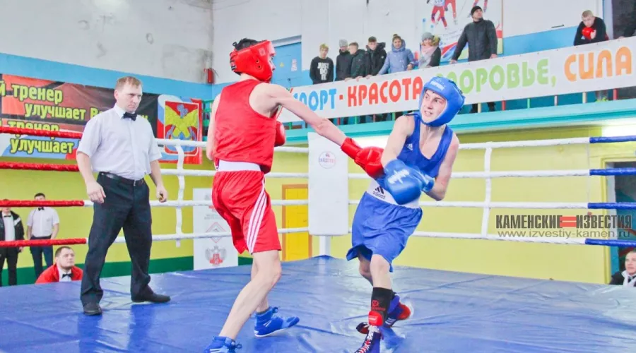 Бийские боксеры добились успеха на первенстве Алтайского края 