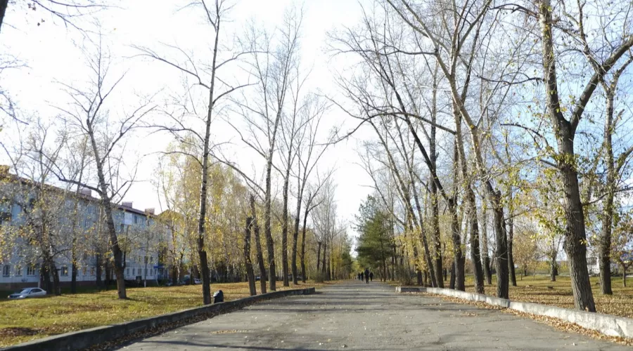 Фонтан, парковка и место для выгула собак: каким будет бульвар Вали Максимовой