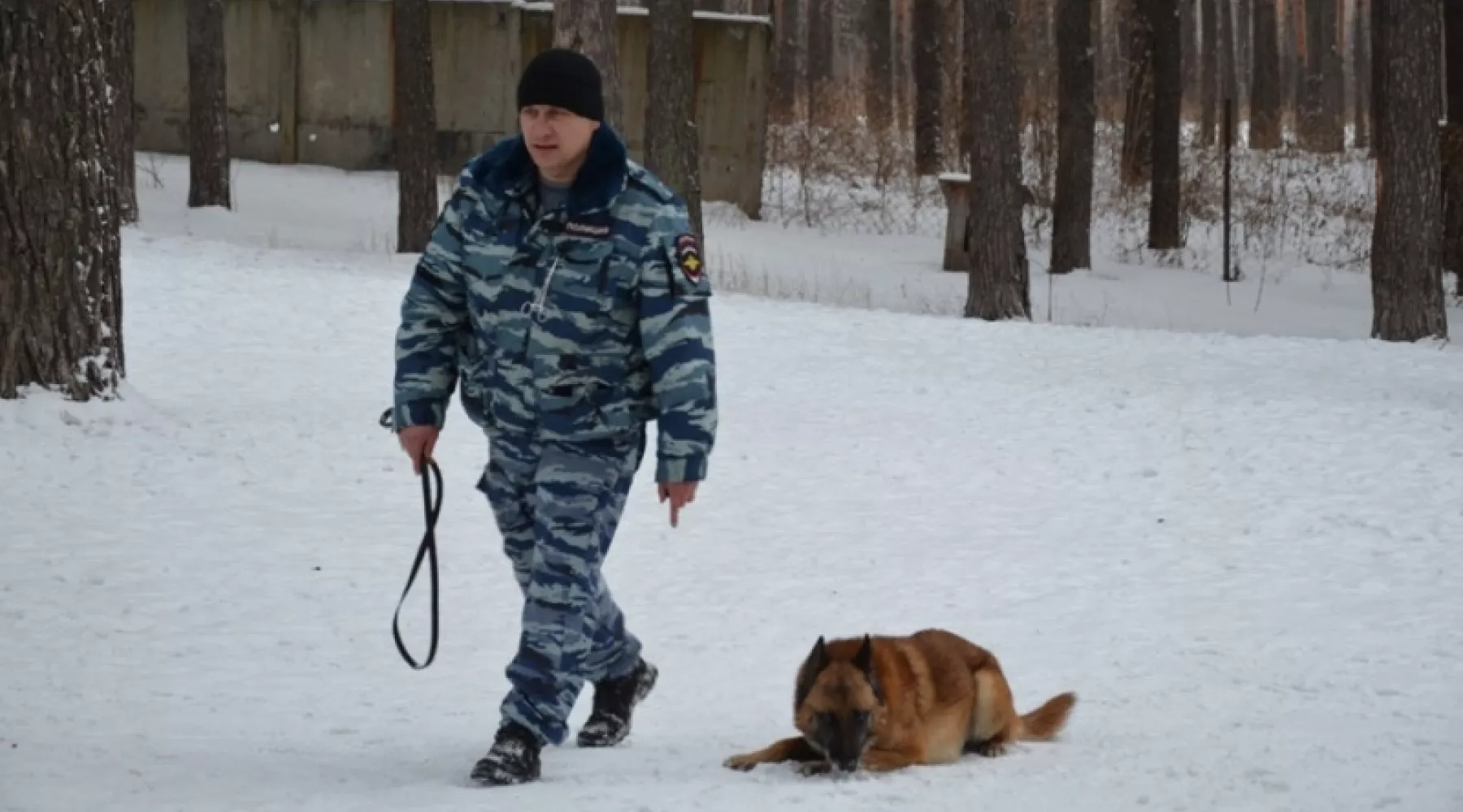 Служебный пес помог раскрыть кражу в Бийском районе 