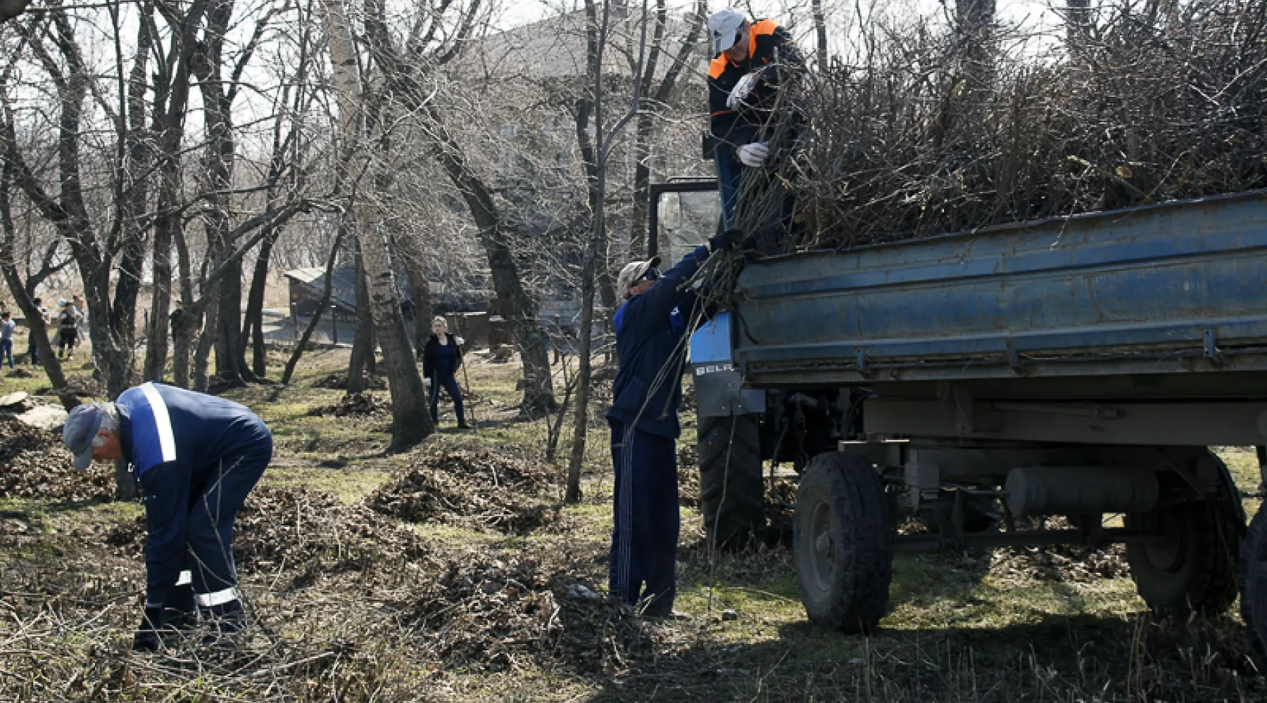 Хозяева участков у леса должны выполнять противопожарные требования 