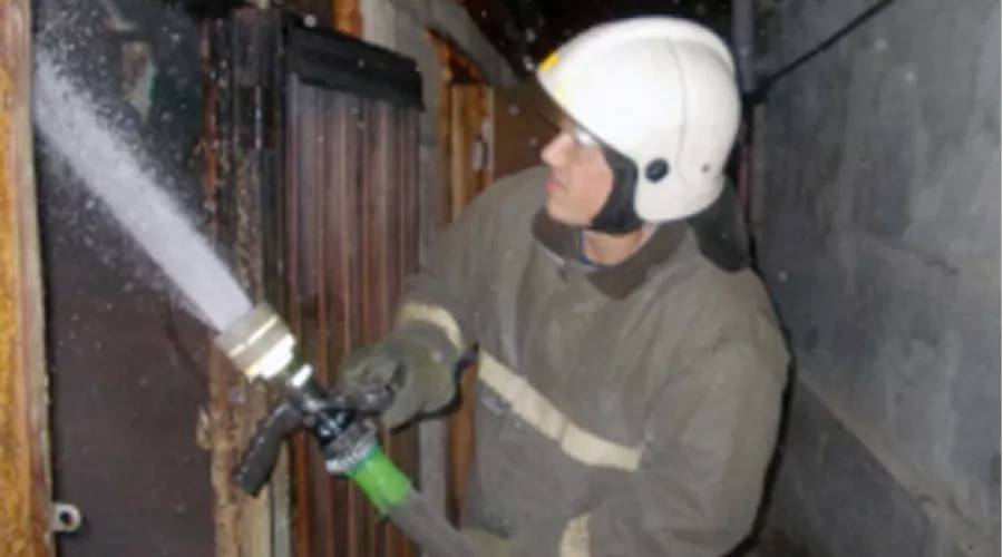 Мужчина сгорел в своем доме при пожаре в Бийске 