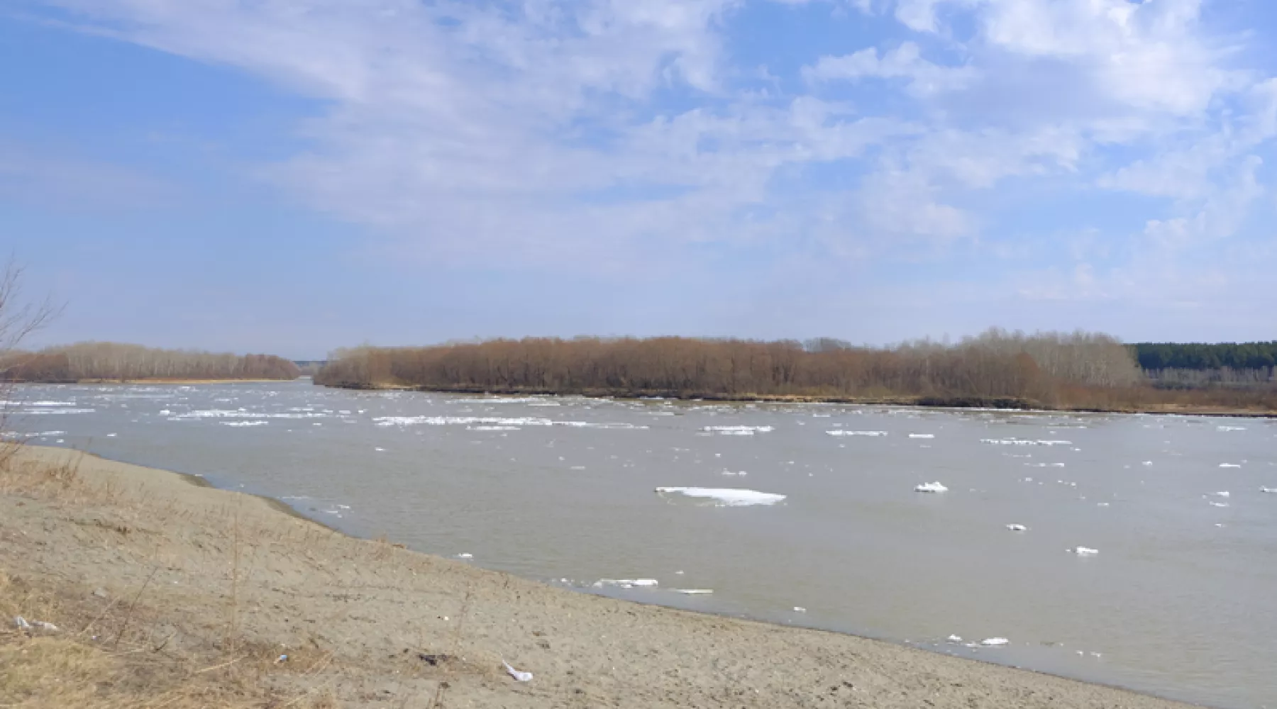 Вода в Бии в районе города за сутки отступила 