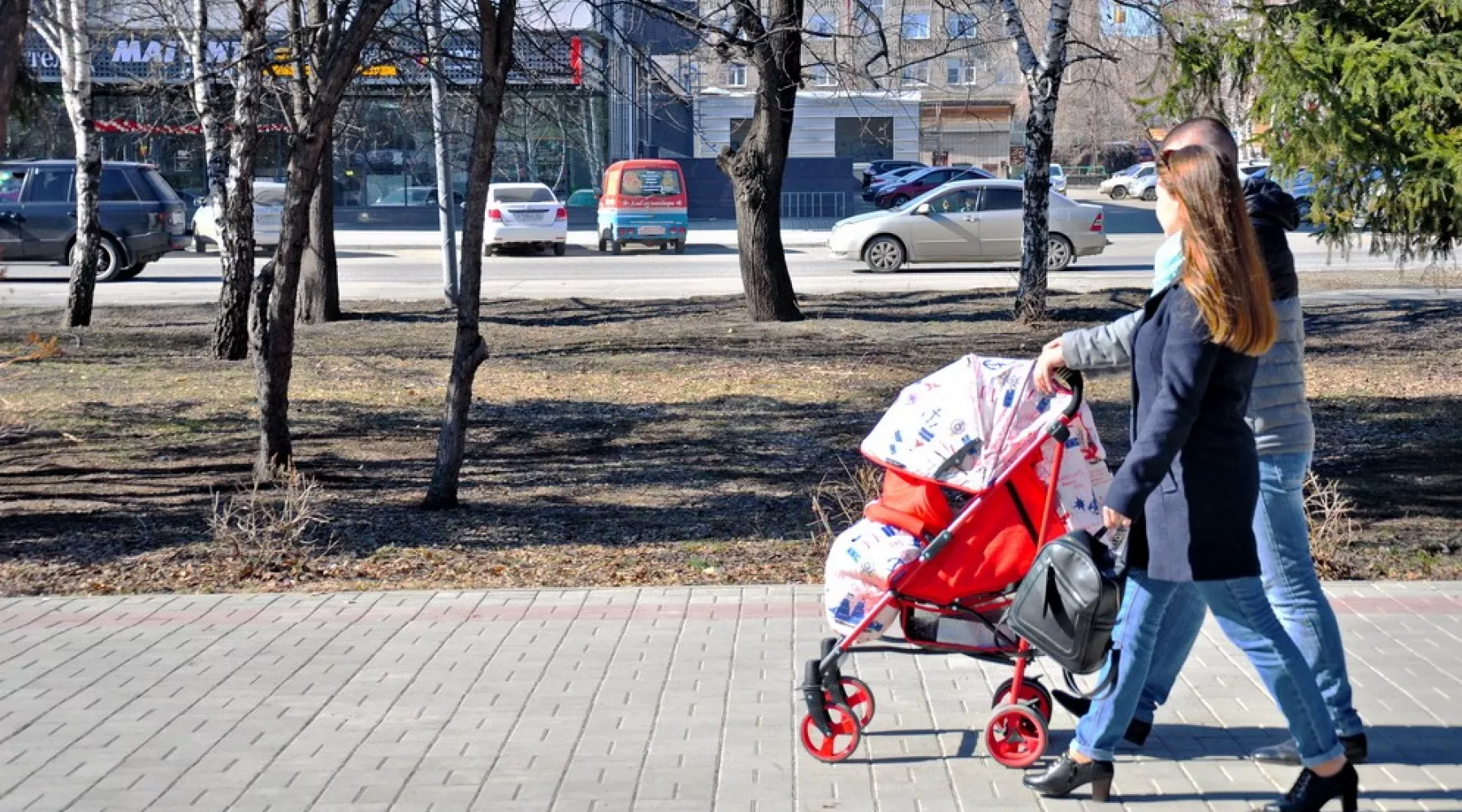 Как семьи в Алтайском крае распоряжаются материнским капиталом