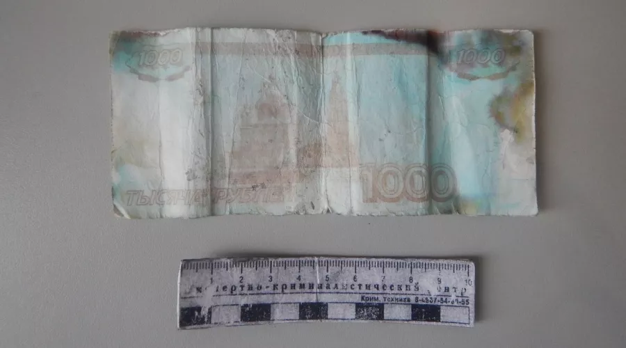 Две фальшивые банкноты изъяли из оборота в Бийске 