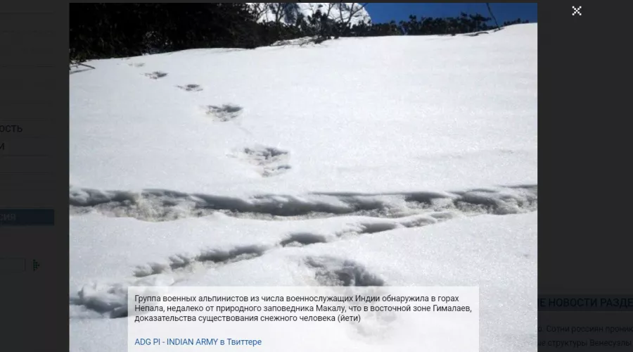 Военные альпинисты нашли доказательства существования снежного человека 