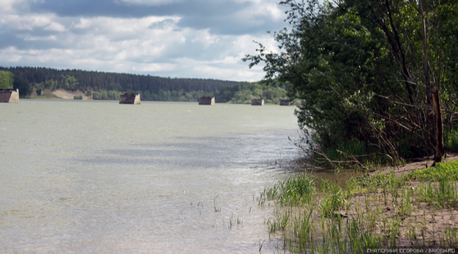 Вода в бии на сегодня. Уровень воды река Бия Бийск. Бийск Малоугренево река. Наводнение Малоугренево 2014. Наводнение Бия 2014.