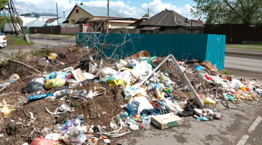 Депутаты задумались над вопросом смены оператора по вывозу мусора в Бийске