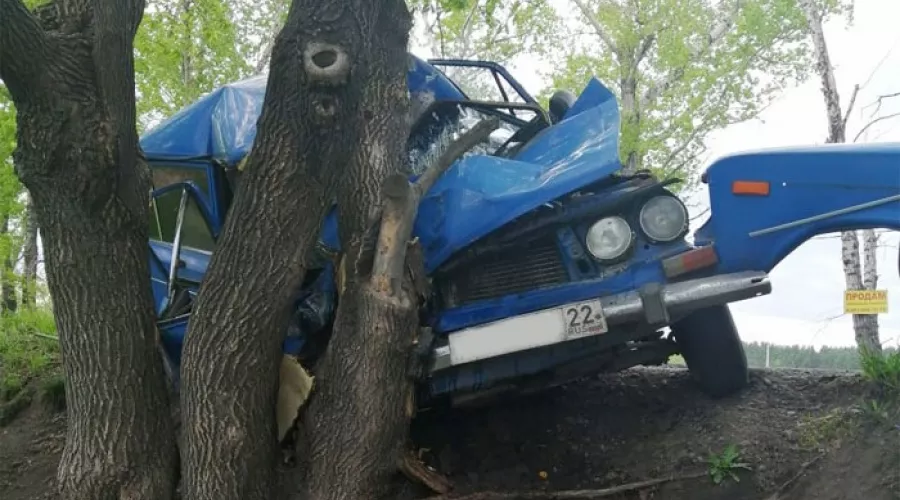 Мужчина погиб в Бийске, врезавшись на машине в дерево 