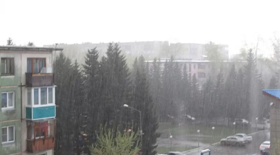 Дожди, грозы, град прогнозируют метеорологи в Алтайском крае 
