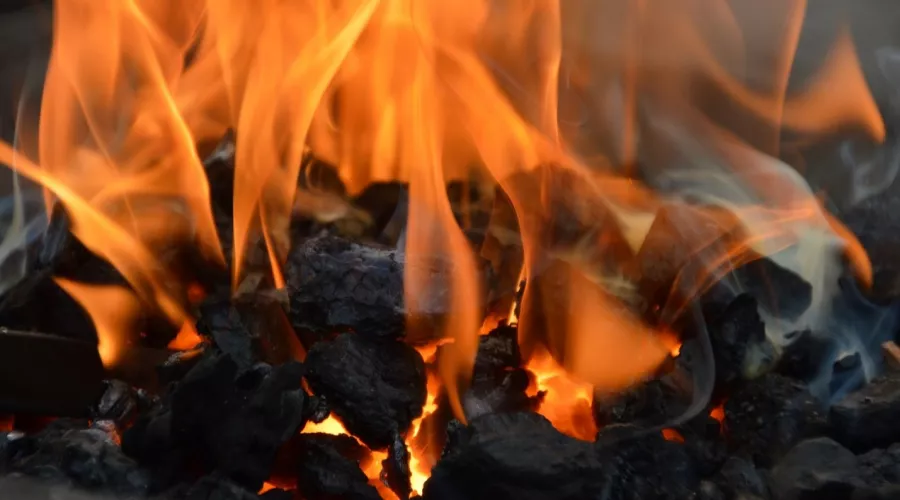 Новоалтайский пенсионер убил собутыльника и сжег его в печи 