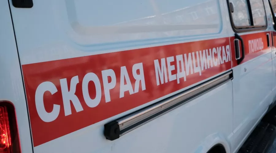 Четыре человека заболели в Алтайском крае клещевым энцефалитом в 2019 году 