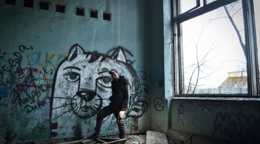 Найди кота: бийчане ищут граффити на стенах домов и заборах
