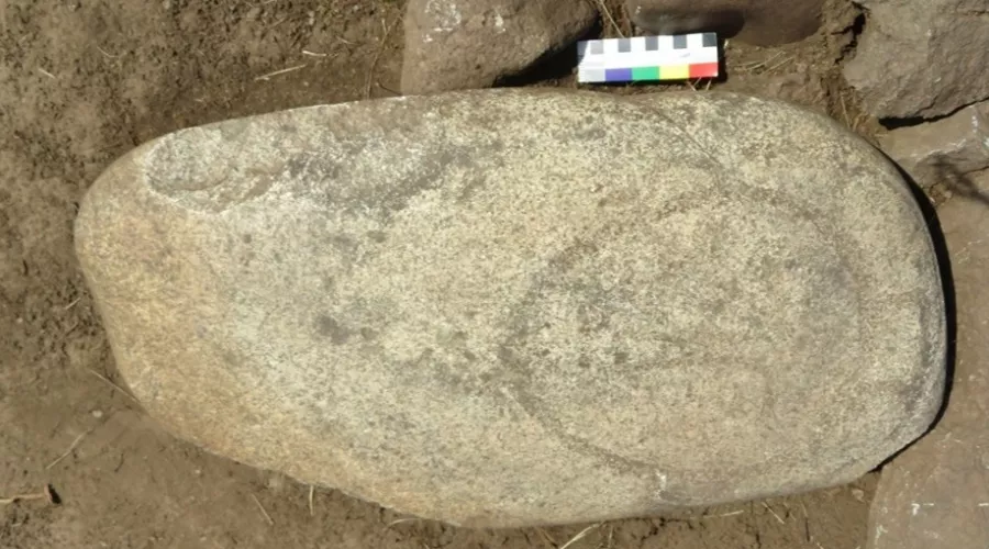 Древнее изваяние раскопали участники археологической школы АлтГУ 