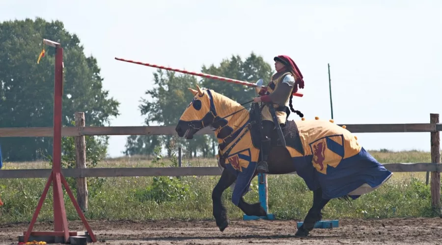 Назад в средневековье: рыцарский турнир прошел в Бийском районе 