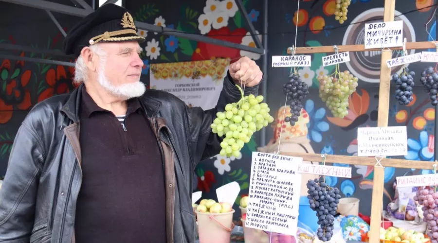 На выставке винограда в Бийске представлено множество различных сортов