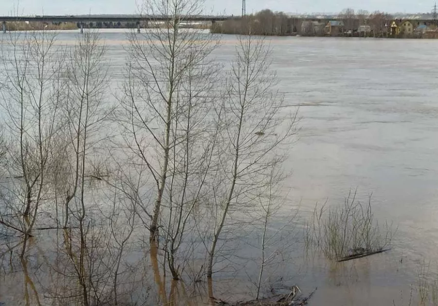 Вода в бии на сегодня. Уровень воды река Бия Бийск. Уровень воды в бии на сегодня в Бийске. Уровень воды в реке Бия. Уровень реки Бия в Бийске на сегодня.