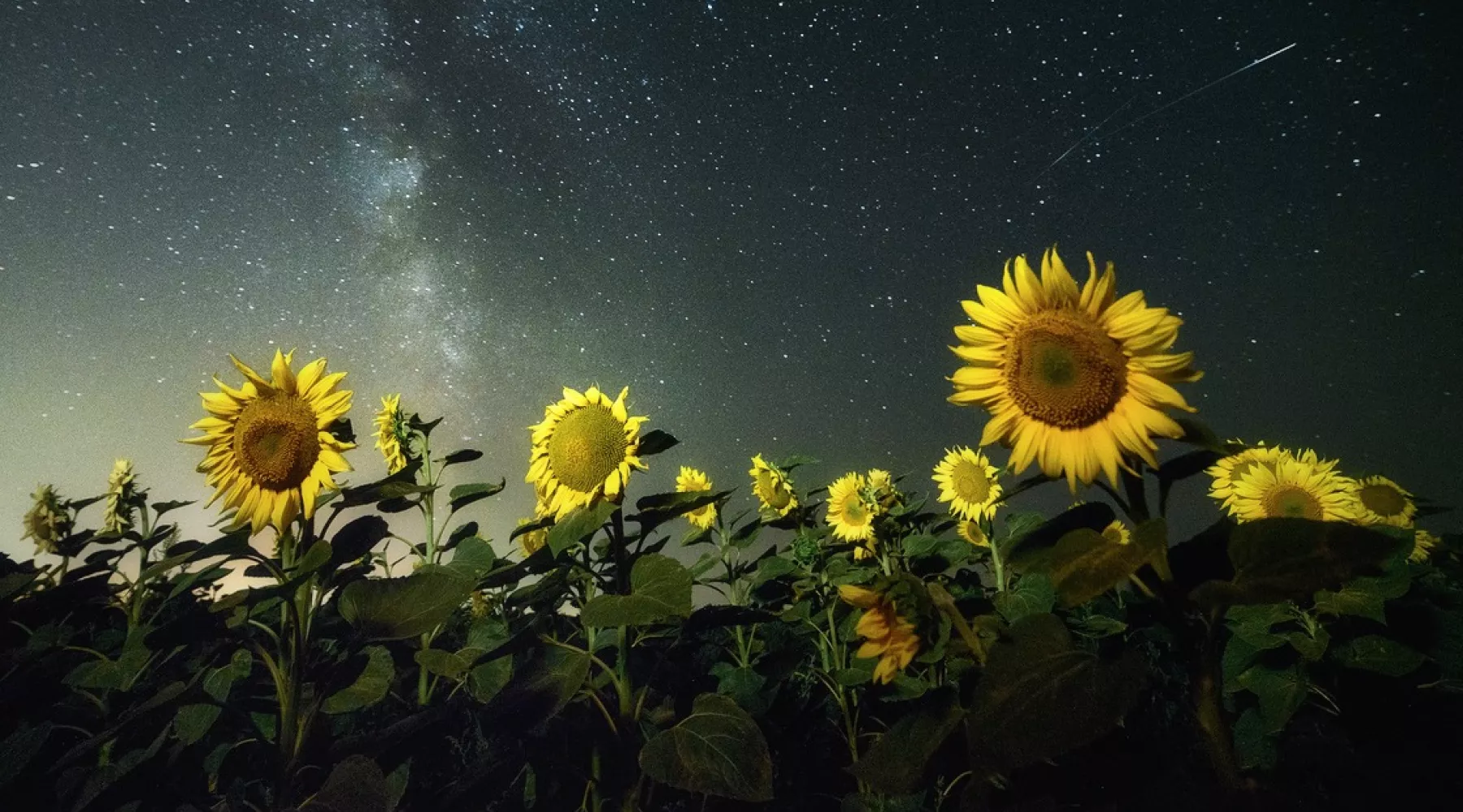 Выставка победителей фотоконкурса «Самая красивая страна» откроется 25 октября