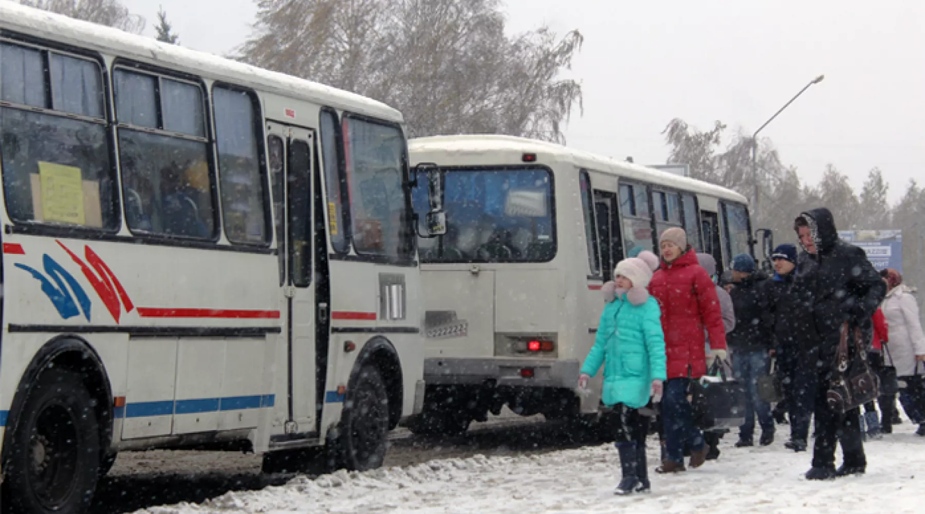 Сын бийского автоперевозчика обвиняется в мошенничестве с социальными картами