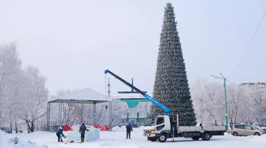 Главный снежно-ледовый городок в Бийске будет посвящен советским мультфильмам 