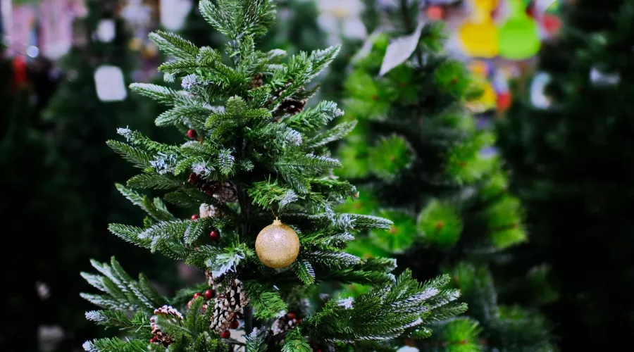 Сколько в Бийске стоят елки и новогодние украшения для них