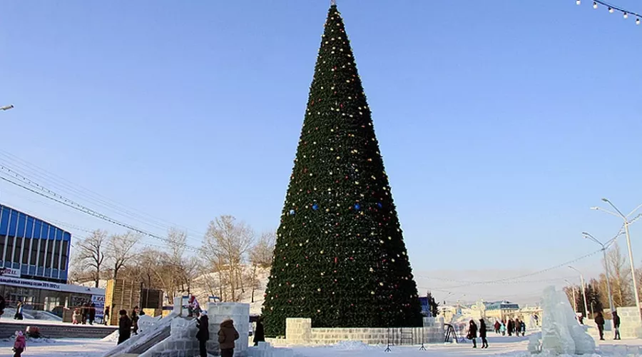 Барнаульская  новогодняя елка по высоте вошла в топ-5 среди городов России 