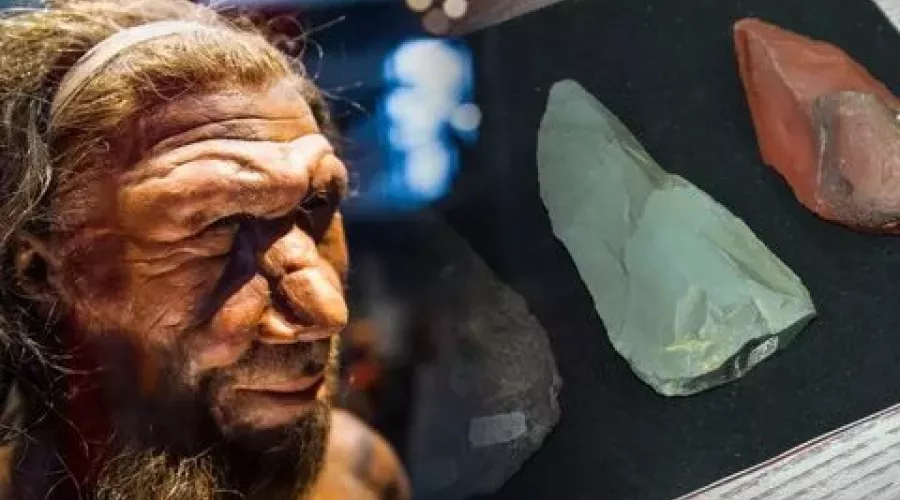 Ученые установили, откуда неандертальцы пришли в Сибирь
