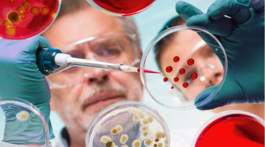 Как будто мало: ученые из Бийска участвуют в разработке нового штамма гриппа