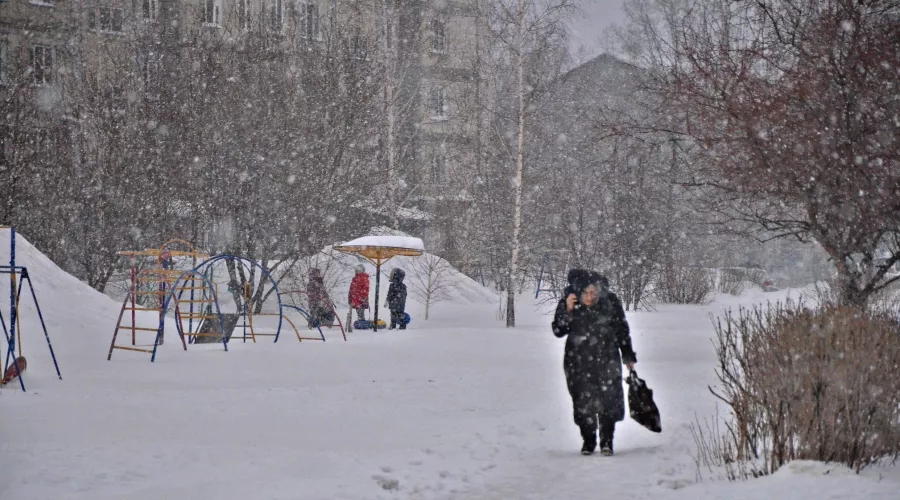 Ветреная погода со снегом перейдет в Алтайском крае в продолжительные метели