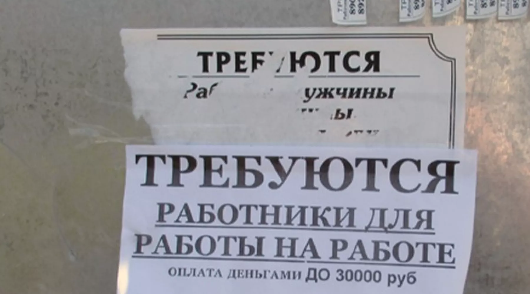 Наказание в виде штрафа грозит за размещенное в неположенном месте объявление