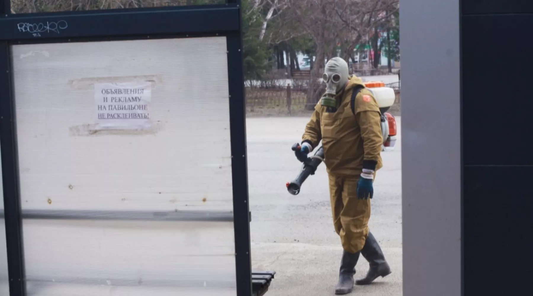 Автобусные павильоны в Бийске продезинфекцируют повторно 