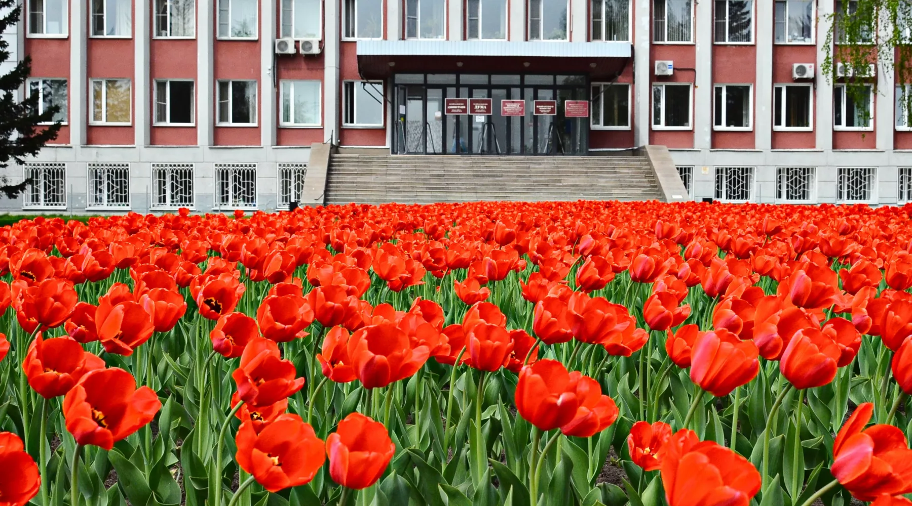 Администрация Бийска. Здание администрации. Мэрия