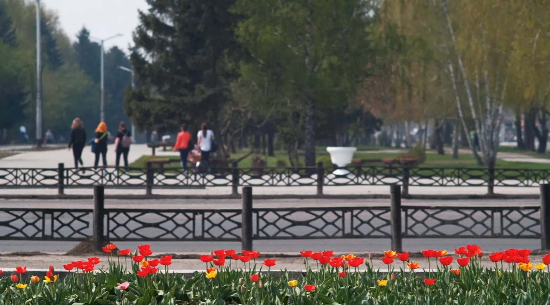 После майских праздников клумбы Бийска станут наряднее