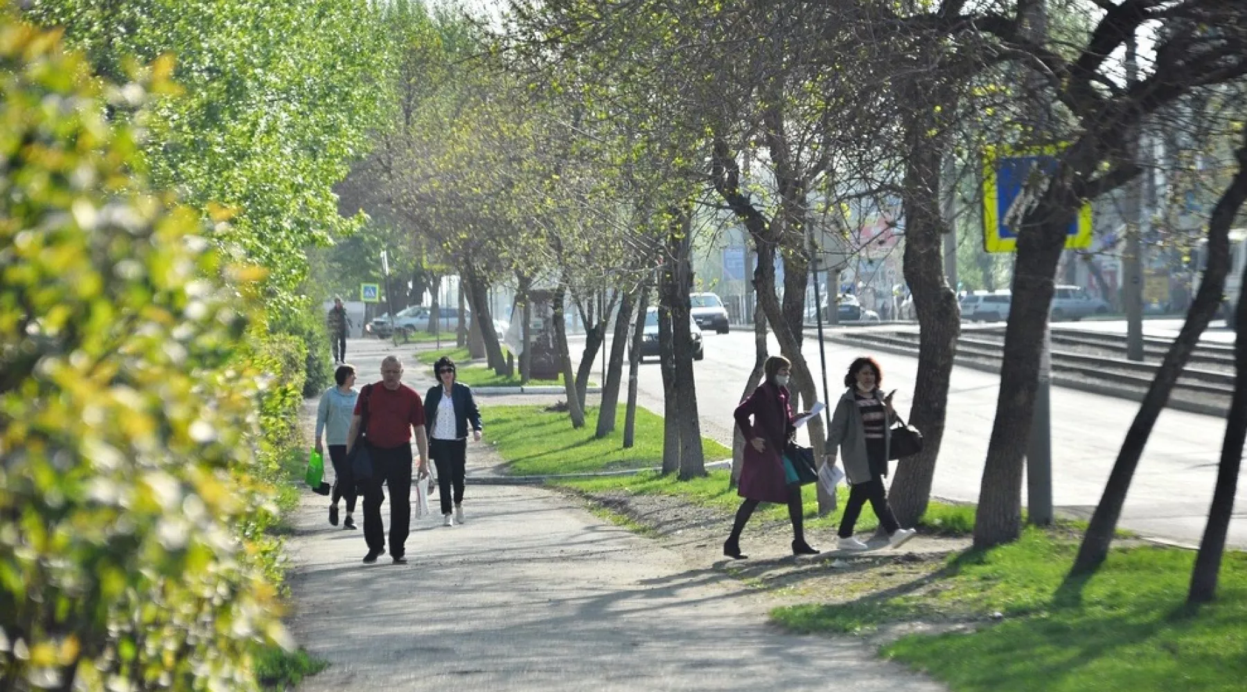 Коронавирус в России и на Алтае: коротко о ситуации на 15 мая