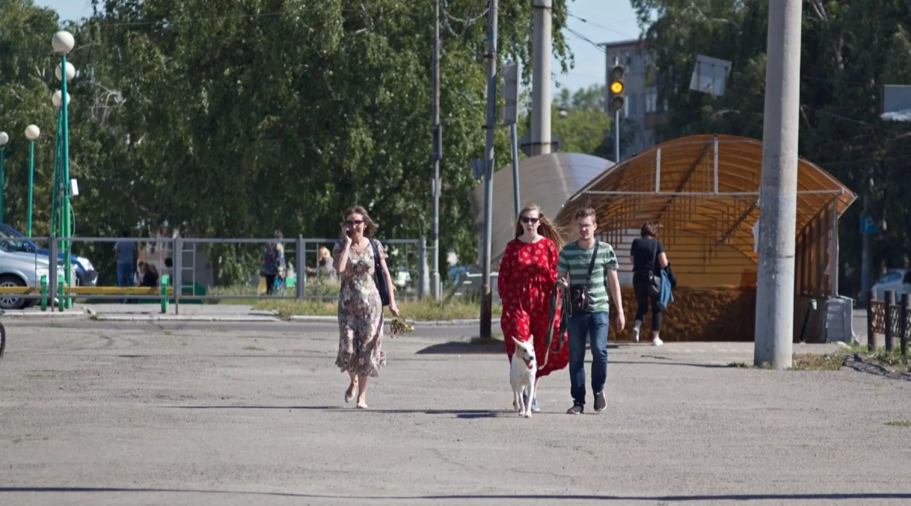 Коротко о том, что произошло в Алтайском крае и в Бийске за 15 июня