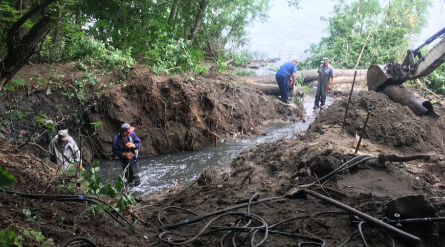 В воды Бии вылились отходы канализации, требуется очистка почвы