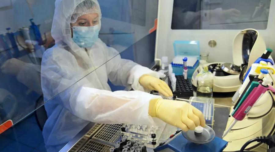 Новосибирские ученые первыми в России получили антитела, нейтрализующие COVID-19