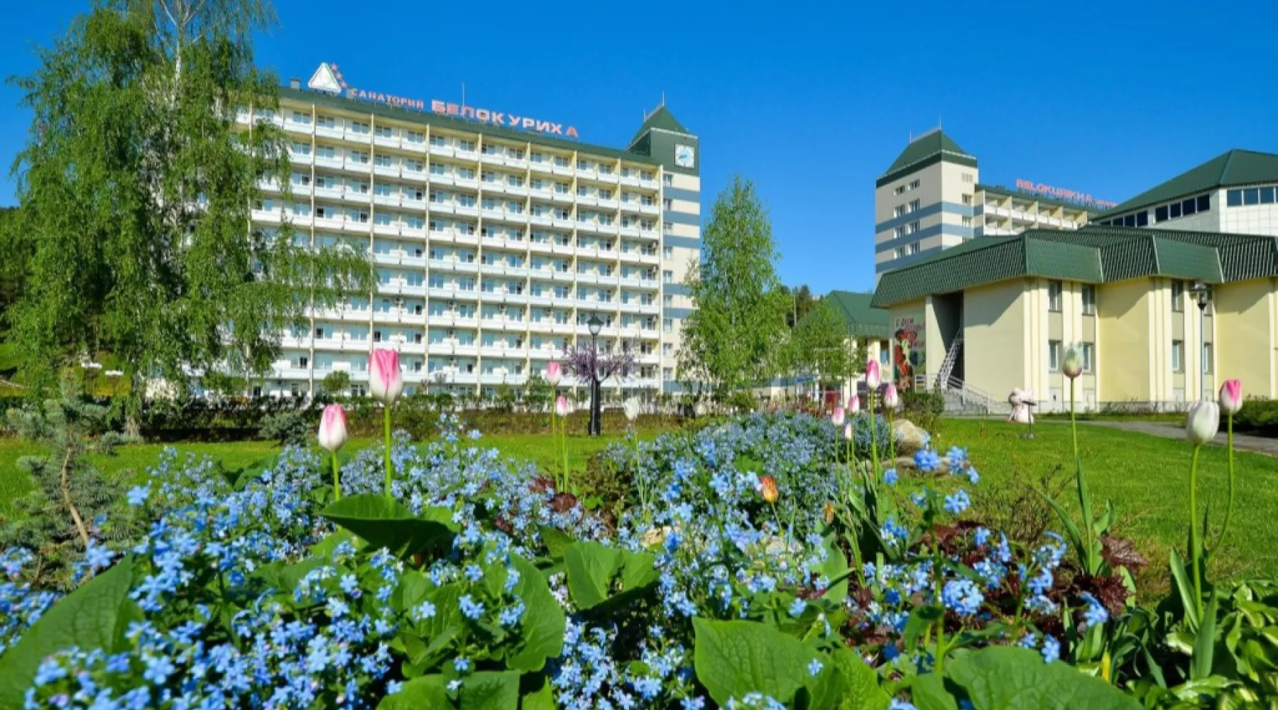 В санаториях Белокурихи готовы принять переболевших COVID-19