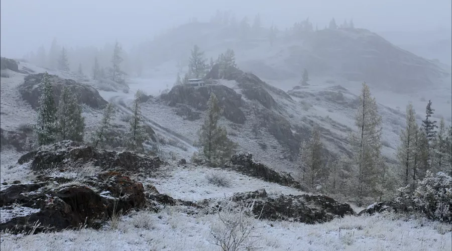 Неделеко от поселка Акташ в Республике Алтай выпал первый снег 