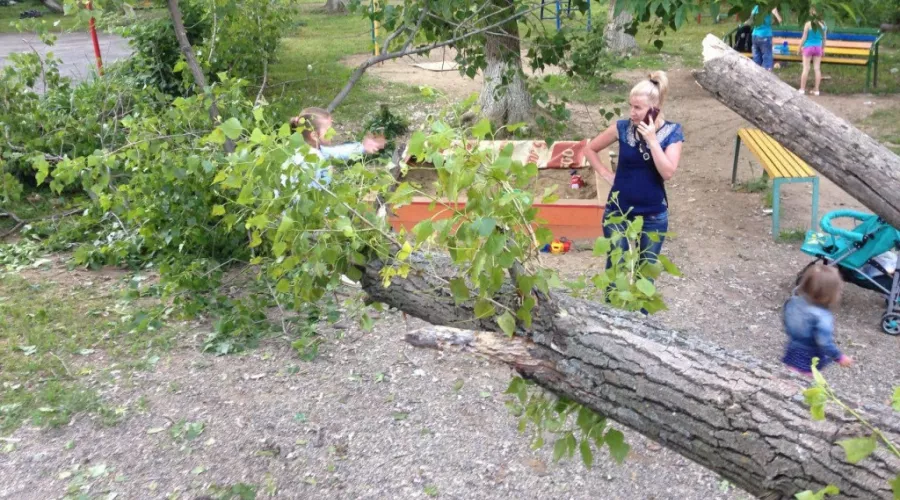 В Бийске дерево упало на детскую площадку