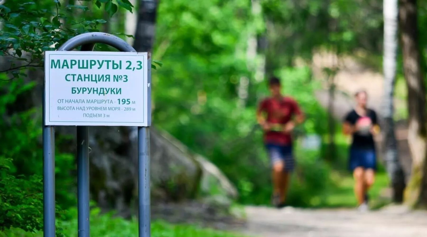 Самый популярный в Белокурихе терренкур благоустроят за счет курортного сбора