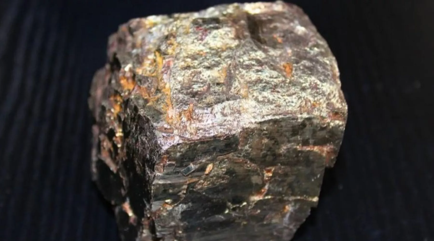 Бийский грибник случайно нашел метеорит, который назвали Фоминским 
