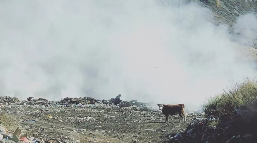 Как вам такое: туристы в ужасе от гор мусора в Республике Алтай