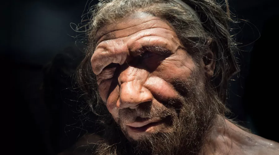 В Денисовой пещере нашли человеческий зуб возрастом 250 тысяч лет 