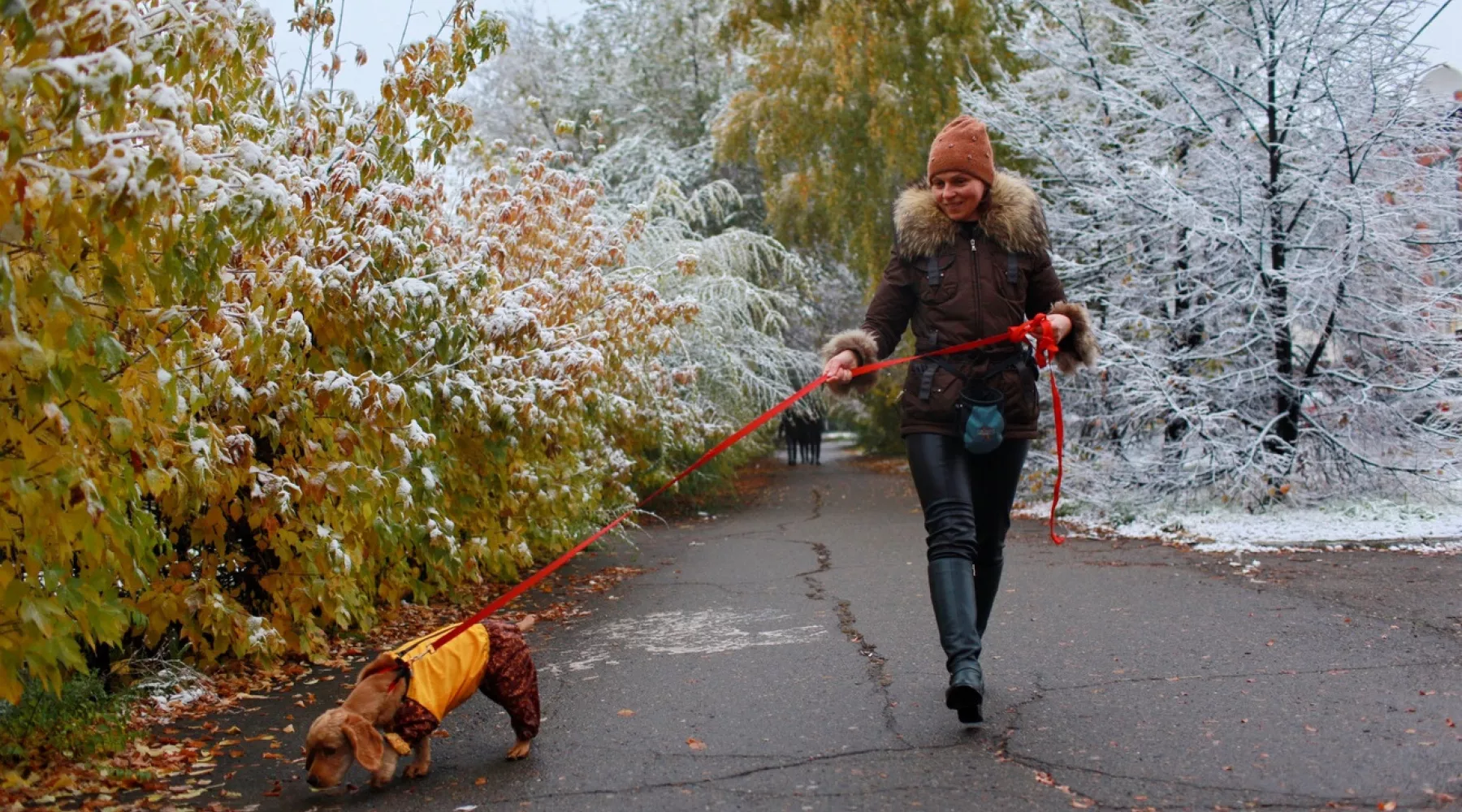 Самый первый: 6 октября Бийск засыпало снегом