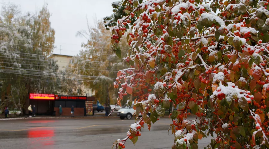 Прогноз погоды на выходные: в Алтайском крае ветер, мокрый снег и гололёд 