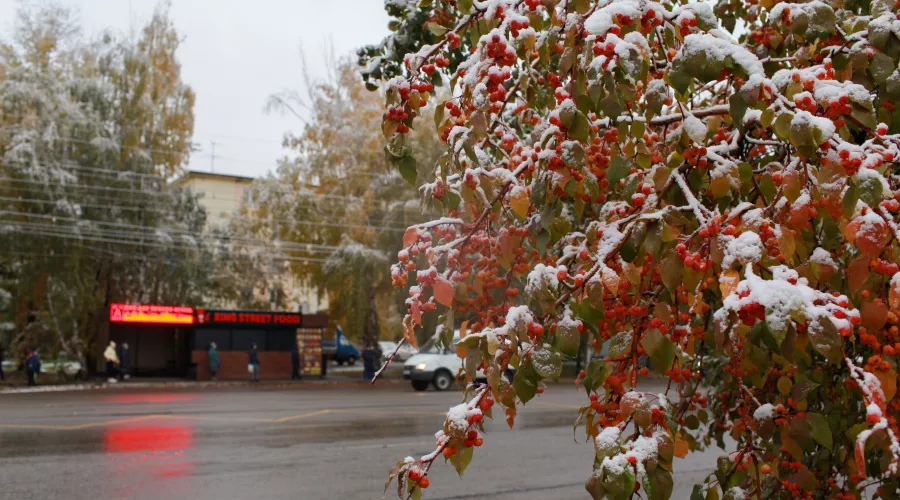 Морозы до -10 градусов могут прийти в Алтайский край на новой неделе 