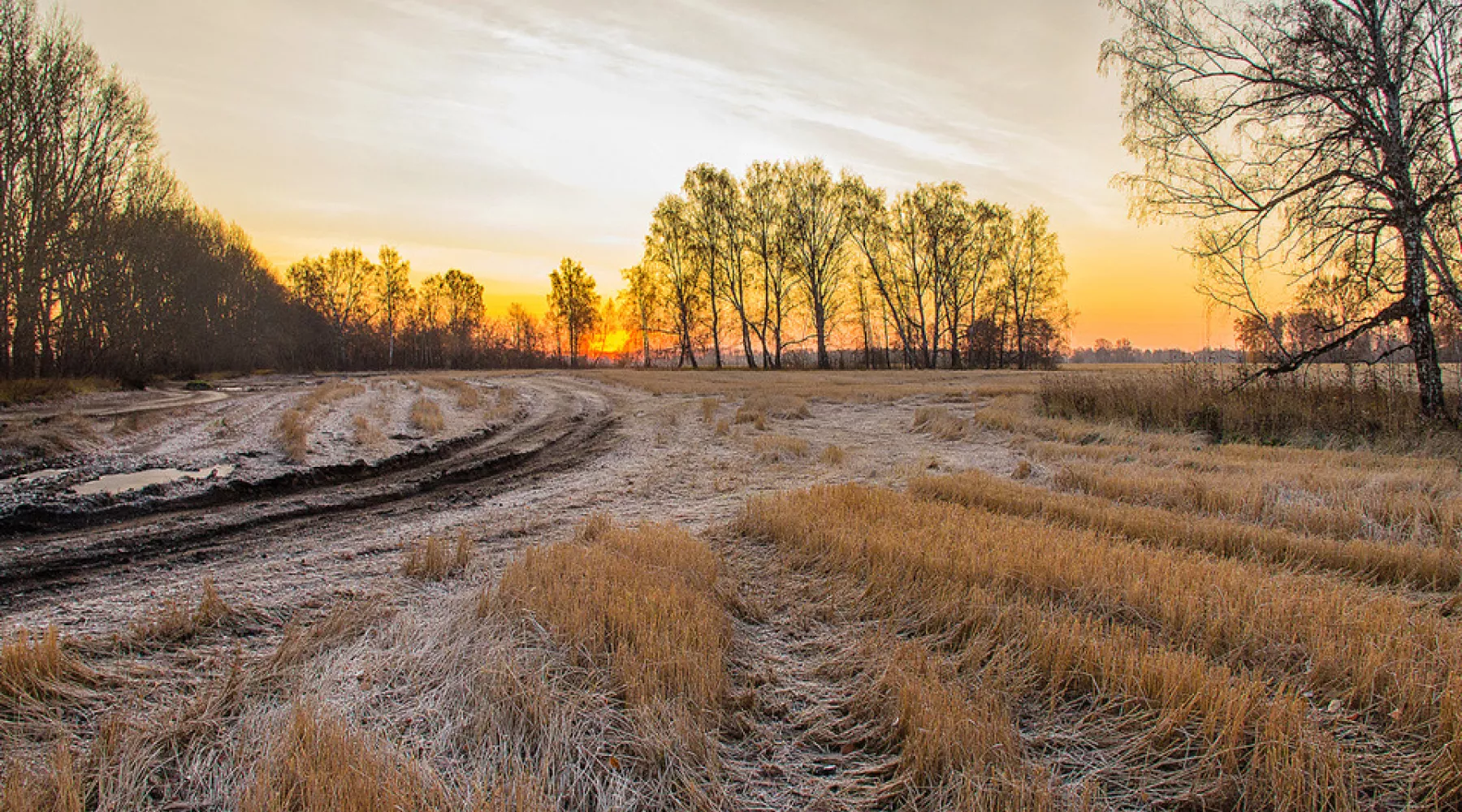 осень, заморозки, ноябрь