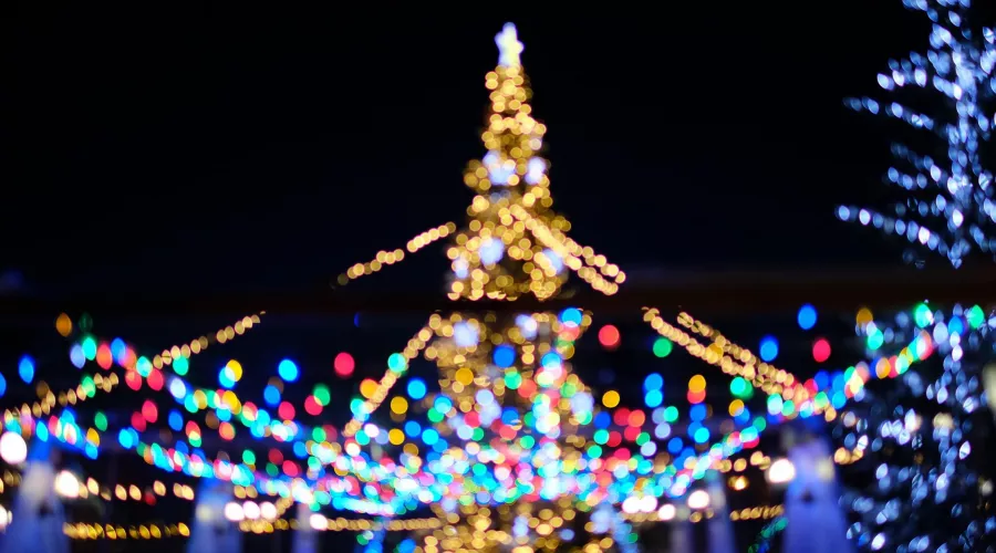 Администрация Бийска просит бизнес не экономить на новогодней иллюминации